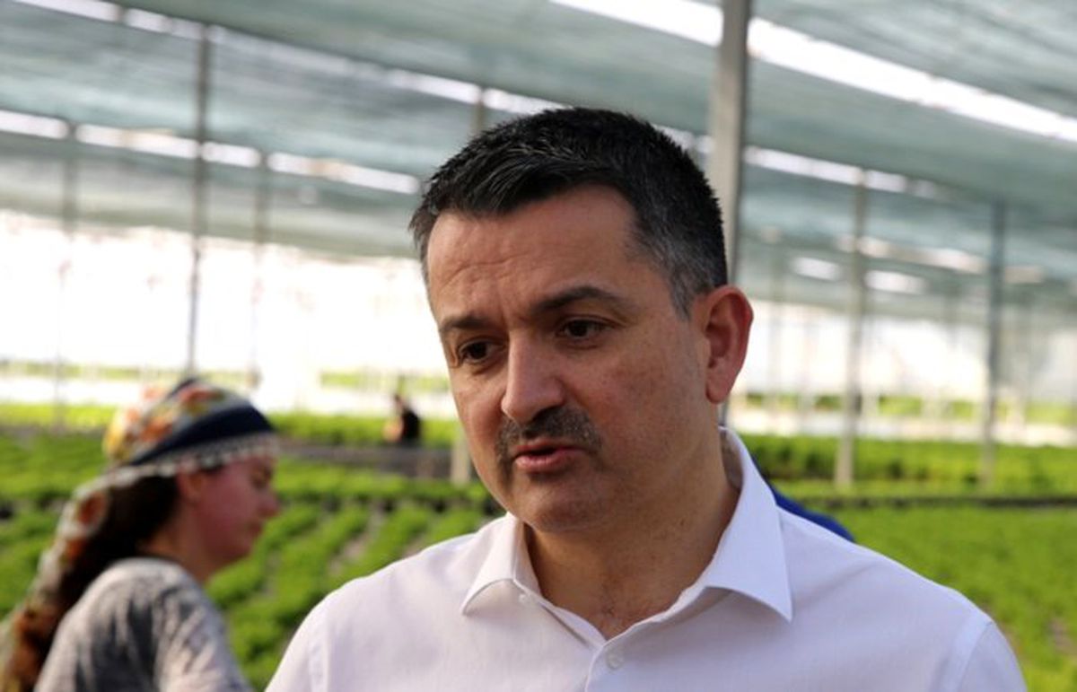 Pakdemirli: 123 bin 304 üreticiye 395,9 milyon TL ödeme yapılacak