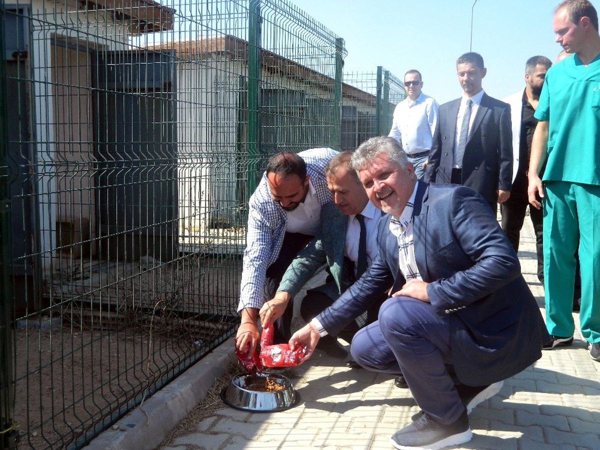 Sevgi Hareketi Lüleburgaz\'ı güzelleştiriyor