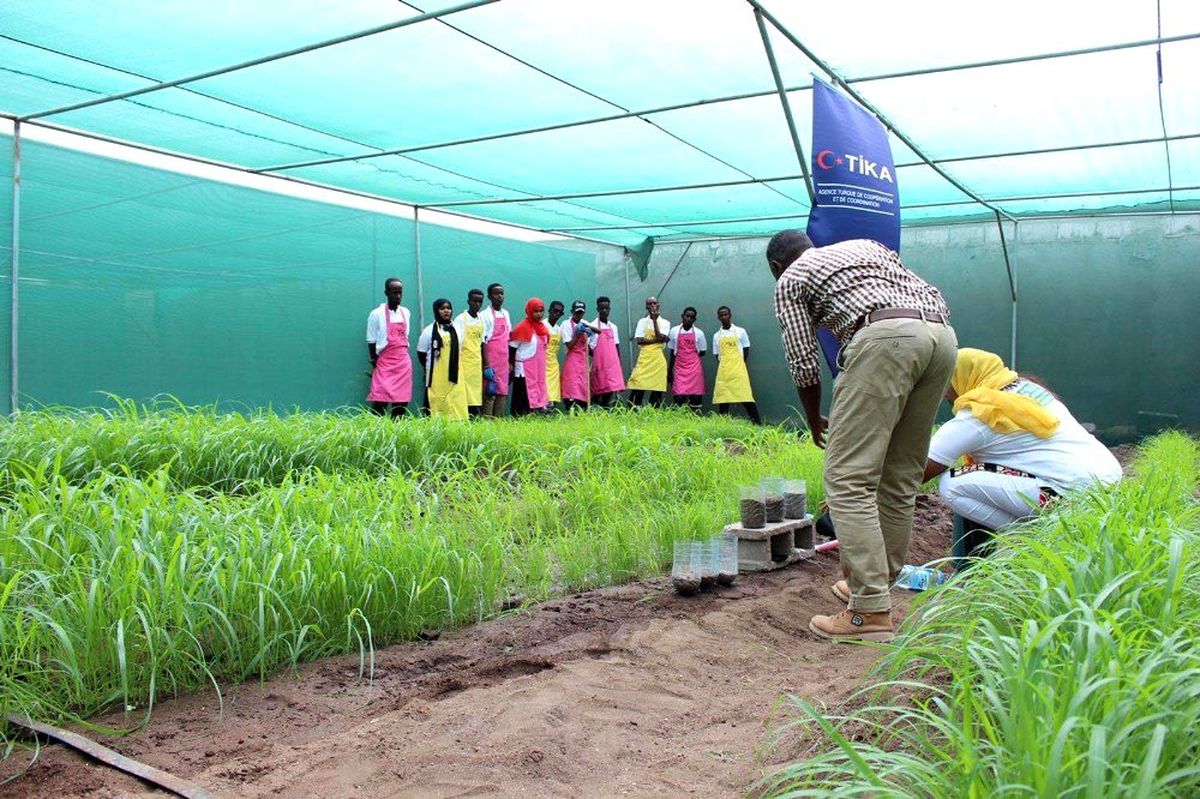 TİKA\'dan, Cibuti\'ye tarım desteği