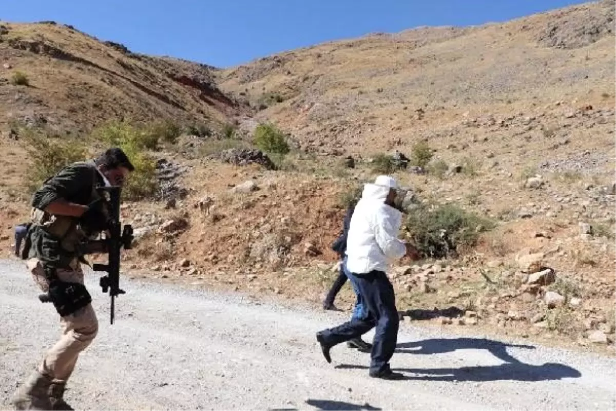 Verimli bal sezonu için şükür duasında arılar saldırdı