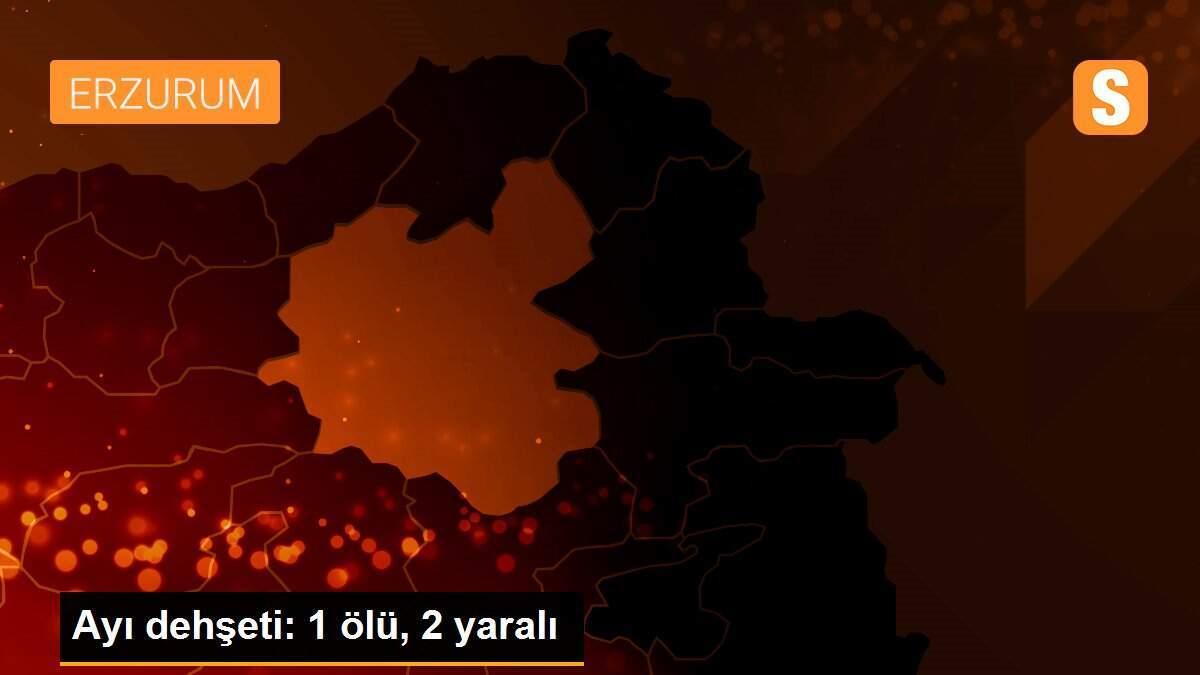 Ayı dehşeti: 1 ölü, 2 yaralı