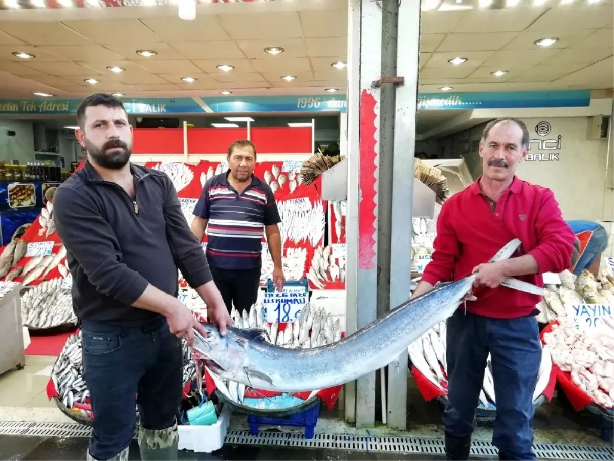 Balıkçı Oktay Yılmaz: "Kalbe iyi gelen omega 3 kaynağı hamsi, bu sene hem bol hem de iri olacak"