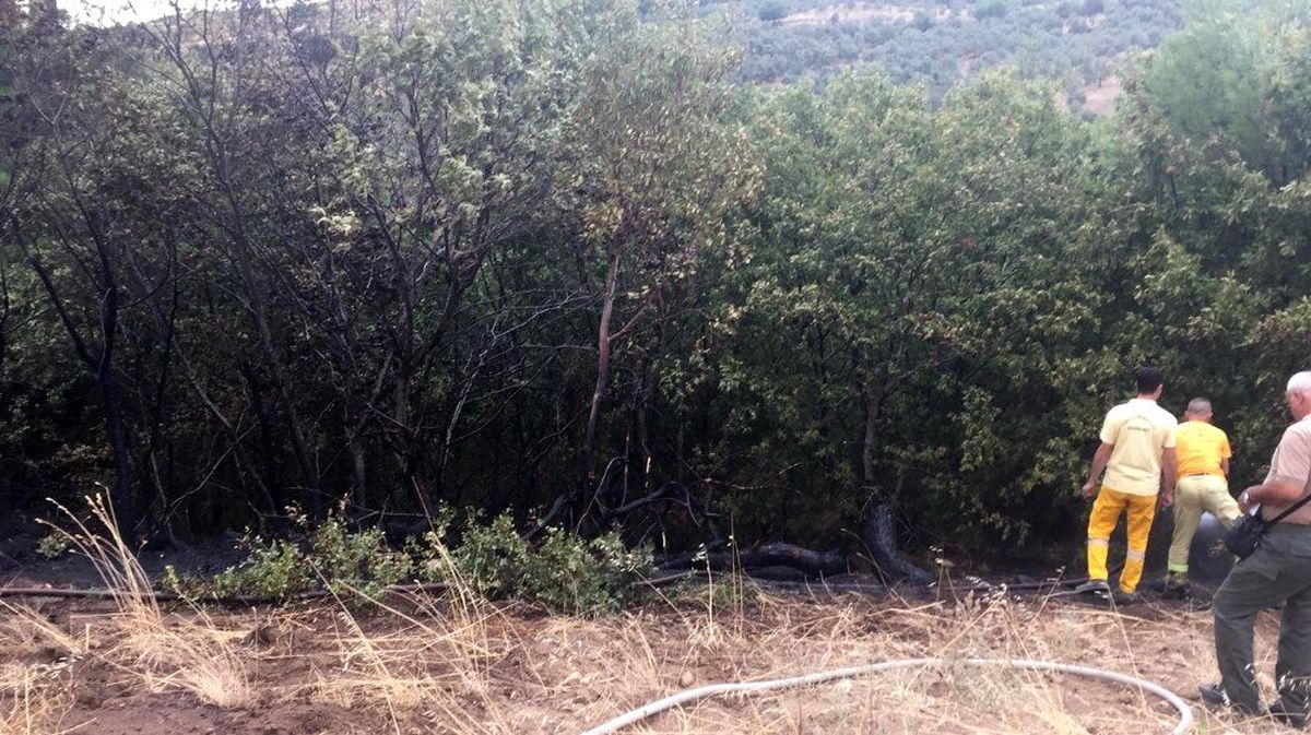 Balıkesir\'de çıkan orman yangını 200 metrekarede kontrol altına alındı