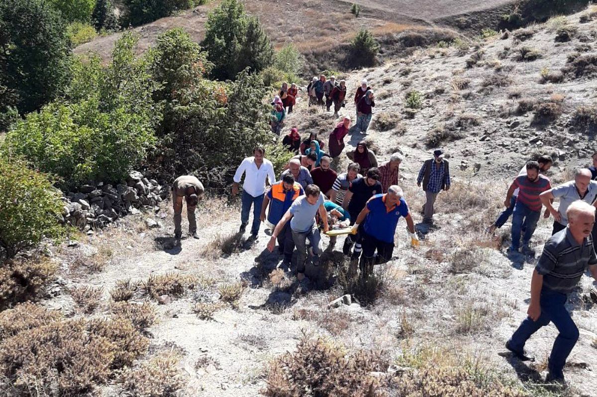 Cevizden düşen kadını bir kilometre sedyede taşıyarak ambulansa ulaştırdılar