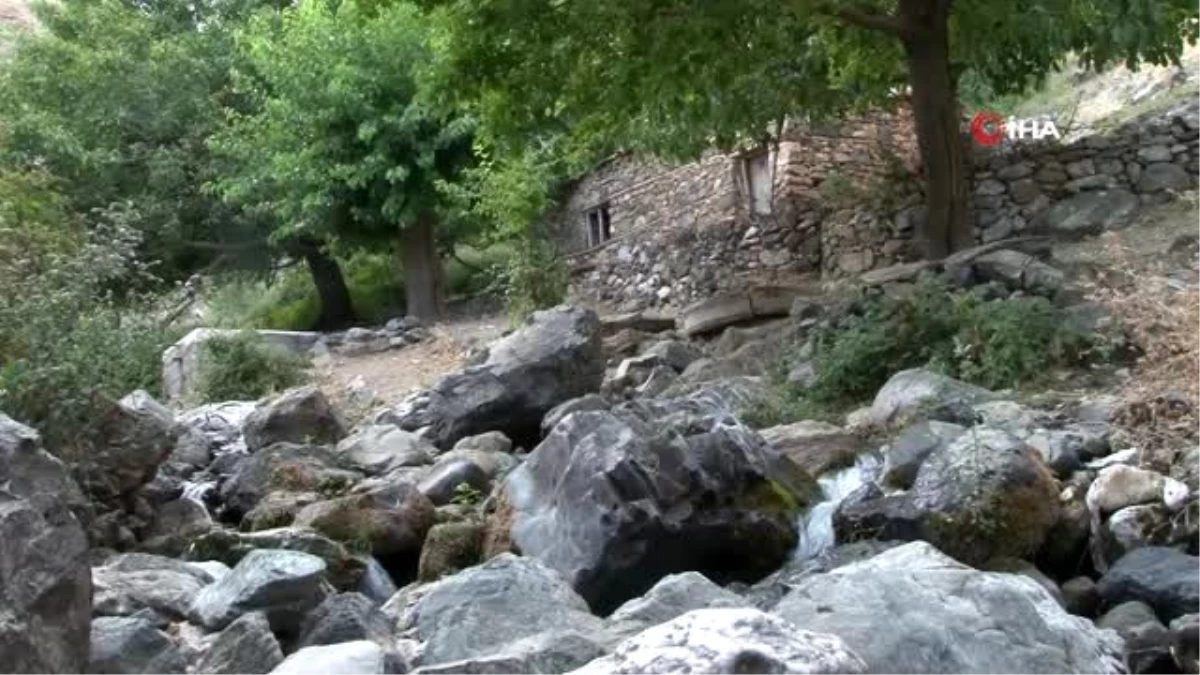 Çocuklarını büyüttüğü, geçimini sağladığı su değirmeni yarım asrın ardından bu yıl durdu