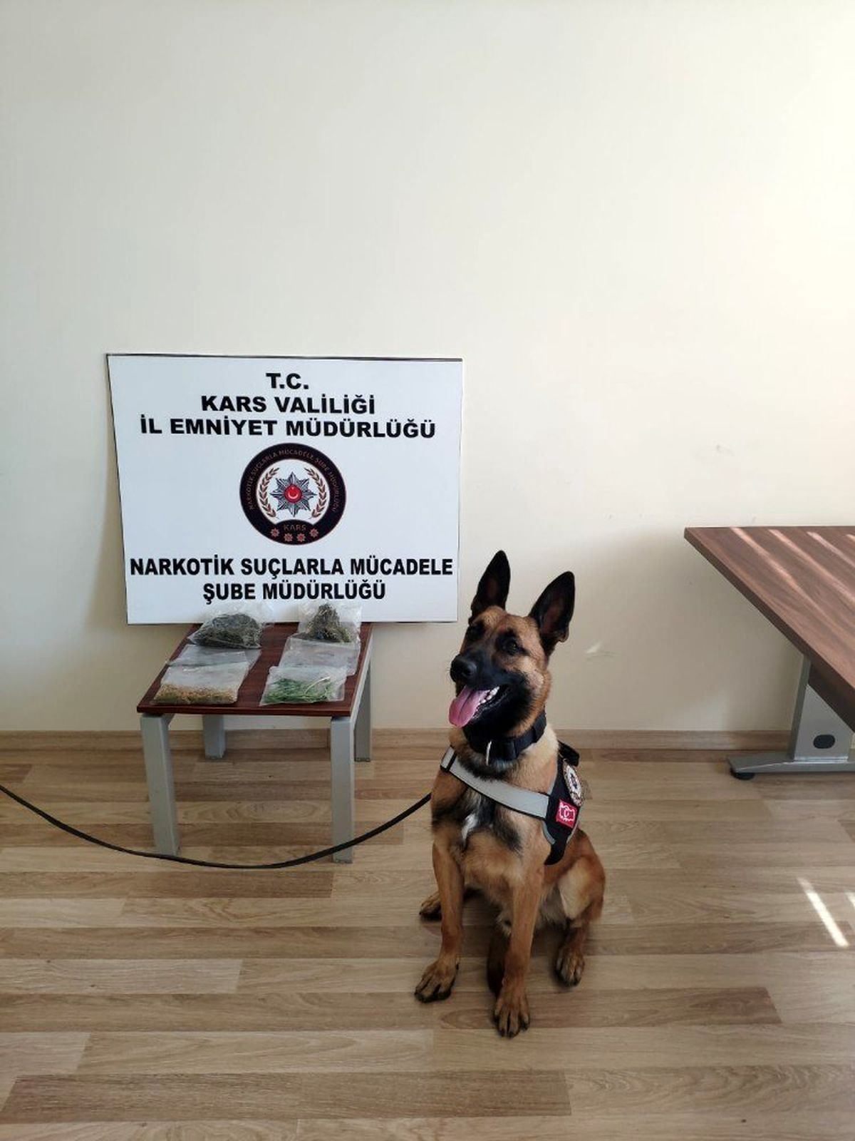 Kars\'ta sokaklar dedektör köpek \'Odin\'e emanet