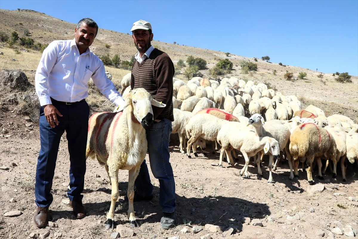 Malatya\'da üreticiye destek