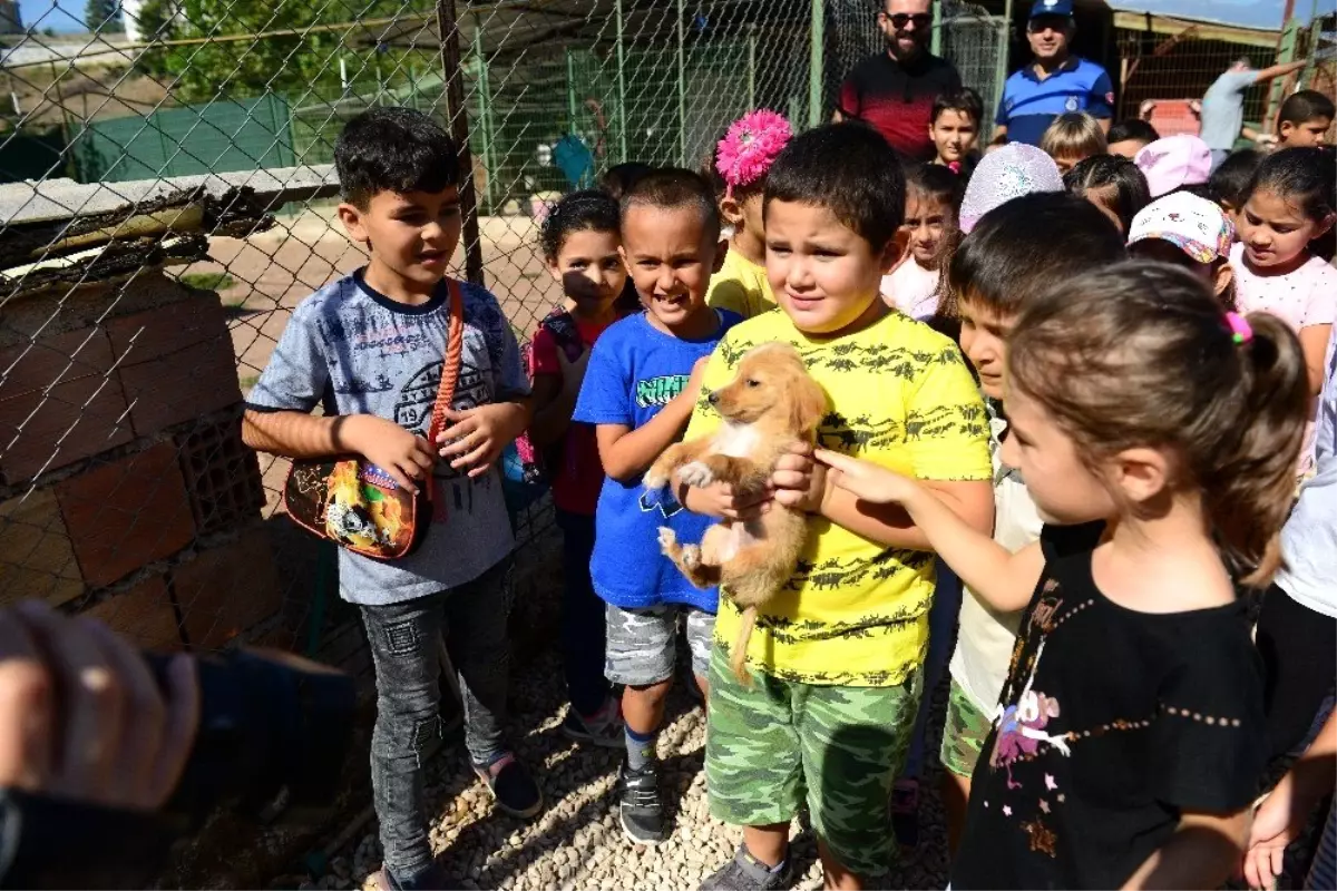 Öğrenciler sahiplendiği sokak köpeğine okul bahçesinde bakacaklar