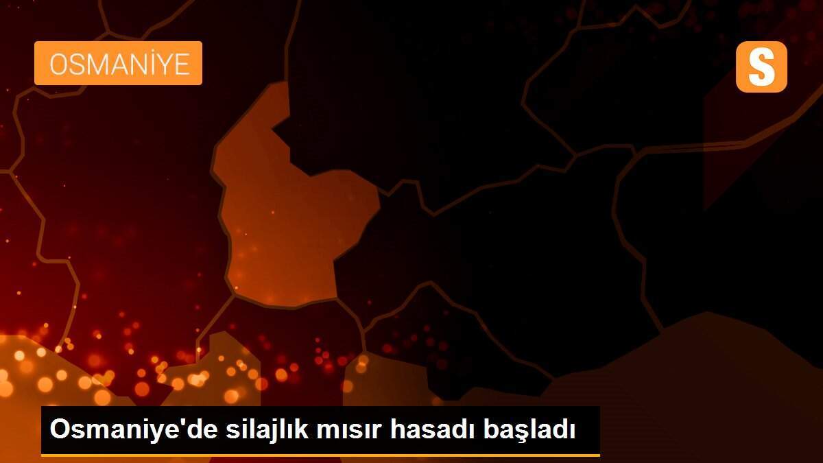 Osmaniye\'de silajlık mısır hasadı başladı