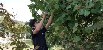 (Özel) Kilometrelerce uzaktan okul harçlıklarını biriktirmek için geldiler