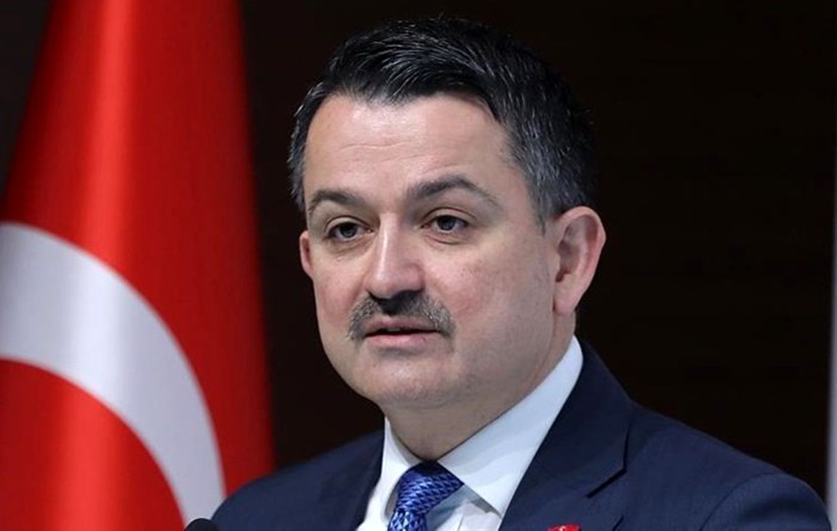 Pakdemirli\'den Pendik\'teki yangının failine ilişkin açıklama 