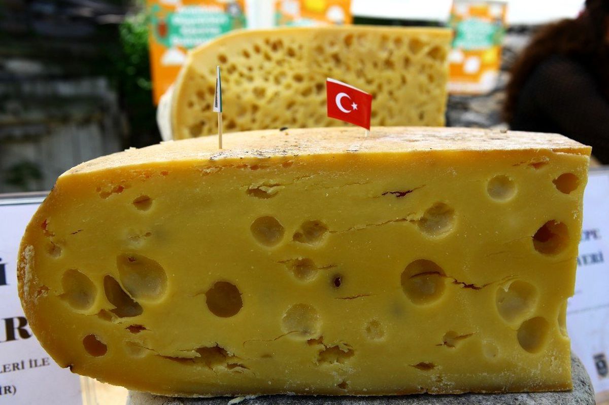 Türkiye\'nin yöresel peynirleri Kars\'ta buluşuyor