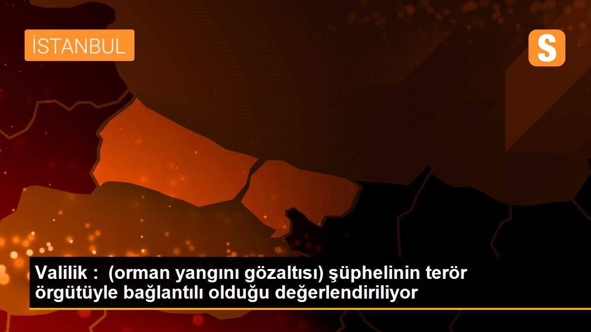 Valilik : (orman yangını gözaltısı) şüphelinin terör örgütüyle bağlantılı olduğu değerlendiriliyor