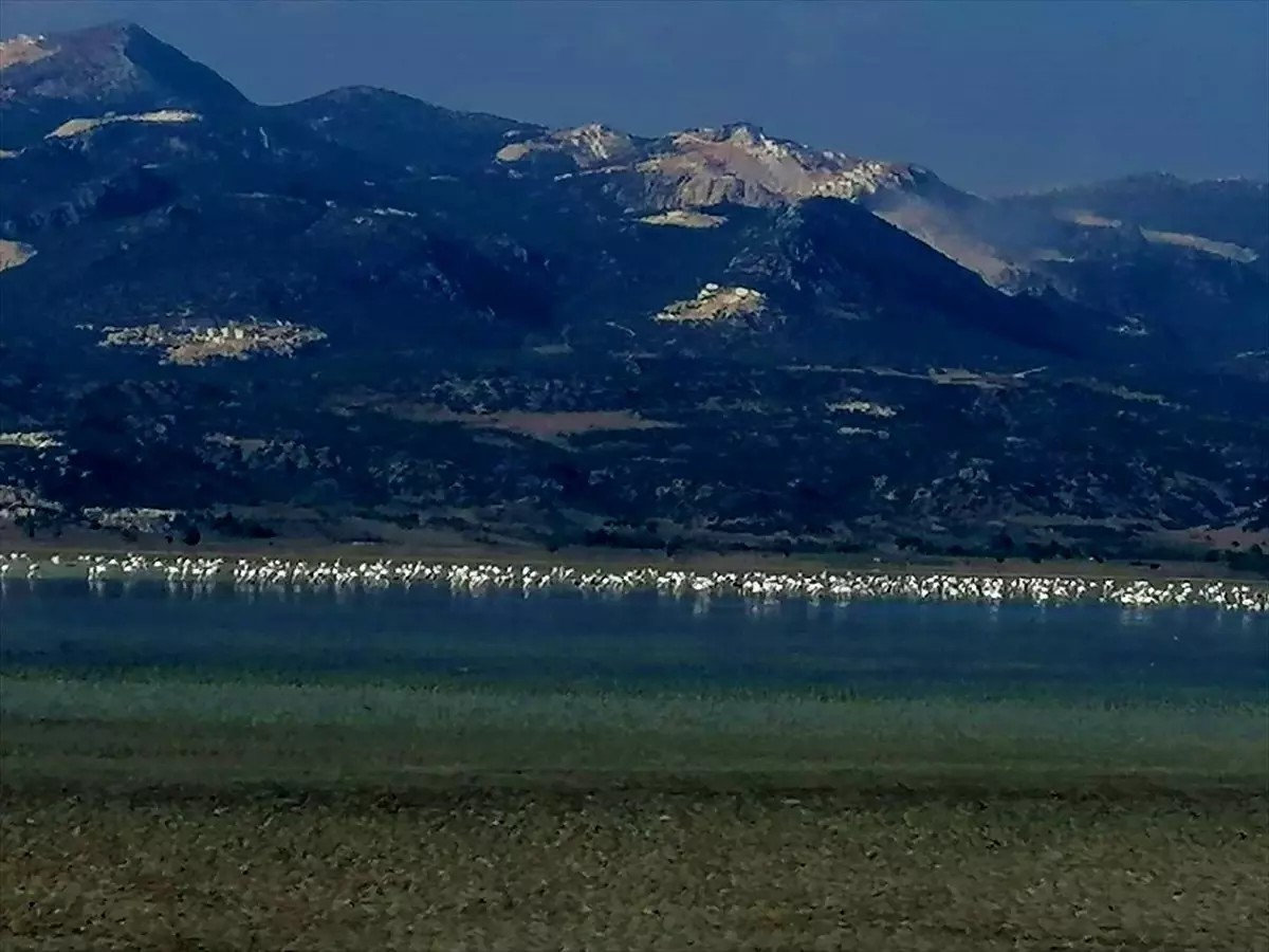 Yarışlı Gölü\'nün kuruduğu iddiası