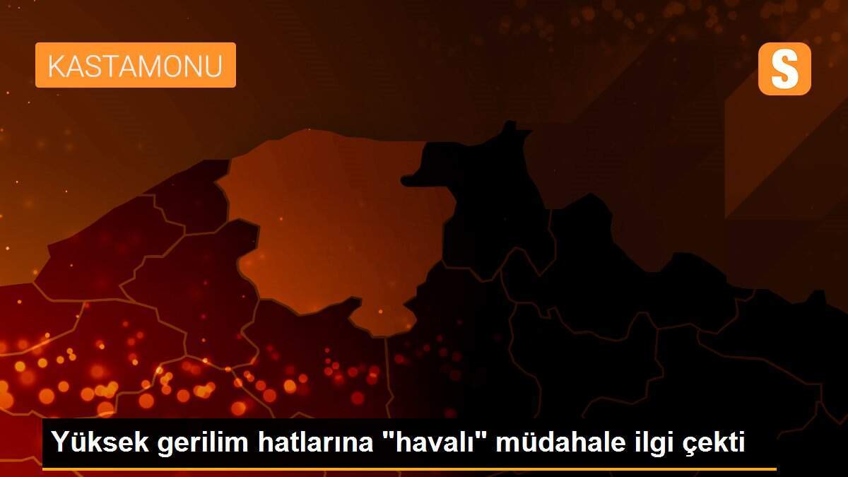 Yüksek gerilim hatlarına "havalı" müdahale ilgi çekti