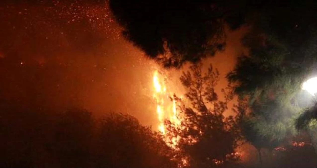 Adana Kozan\'da orman yangını: 10 dekarlık alan yanıyor