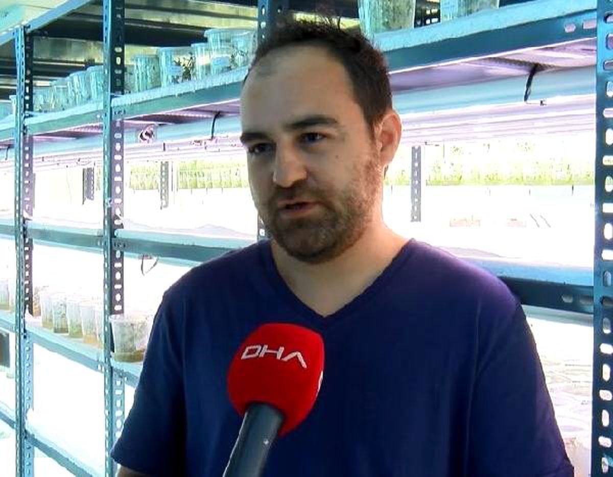 Atık suyla ısıtılan seradan yurt dışına patates tohumu