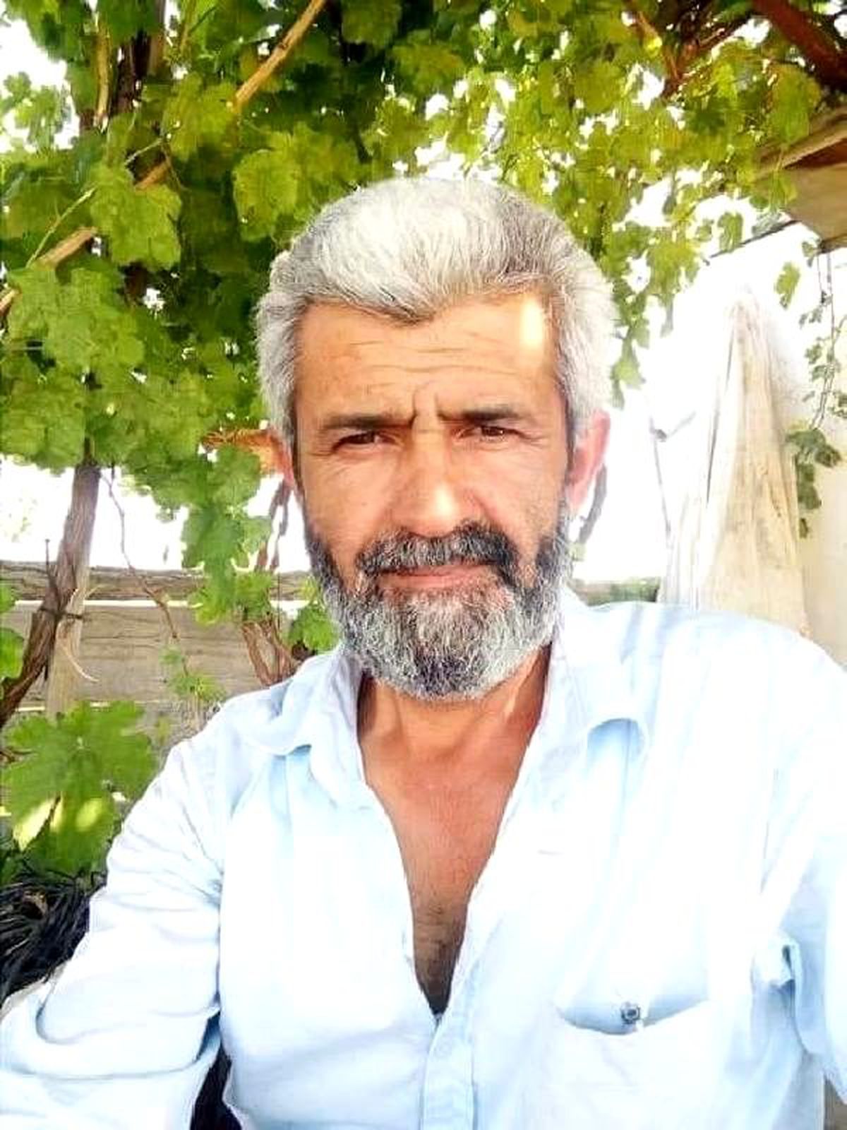 Ceviz toplamak için çıktığı ağaçtan düşüp, öldü