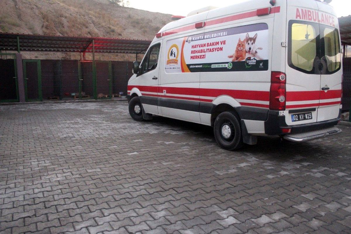 Kahta\'da hayvan barınağı faaliyete geçti