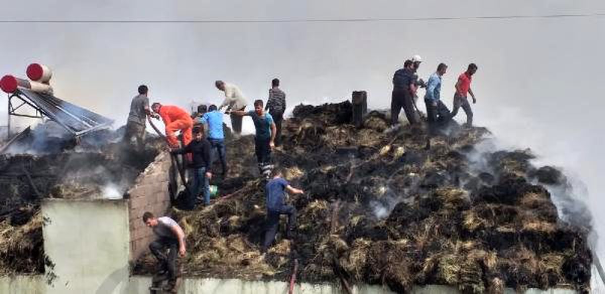 Köydeki yangını söndürmek için dere suyunu bölgeye akıttılar