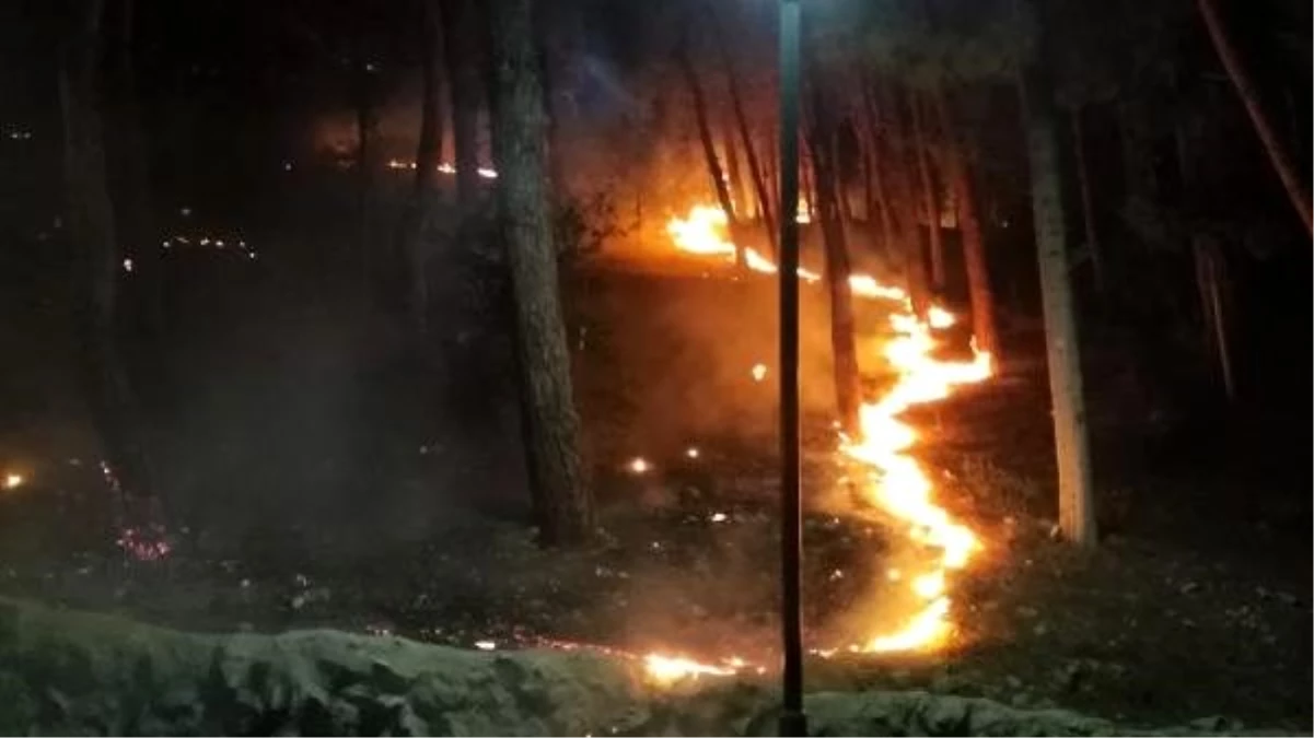 Kozan\'da orman yangını