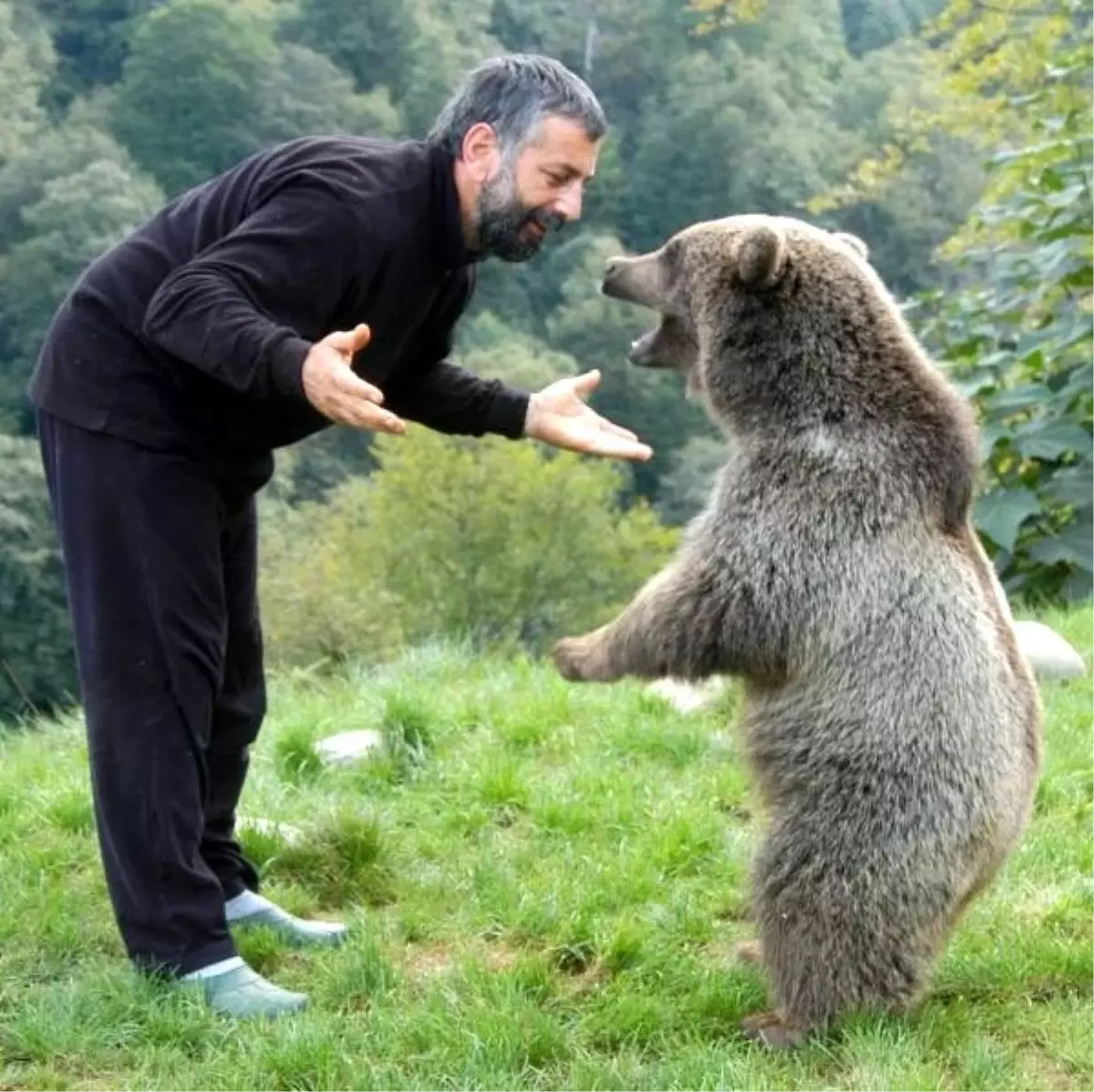 Popülasyonu artan ayılar için \'avlansın\' çağrısı