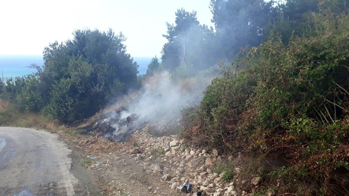 Samandağ\'da kuru ot yangını korkuttu