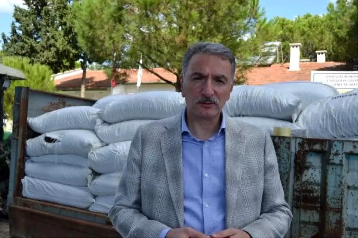 Tmo genel müdürü: 9 numara kuru üzüm 10 tl\'den alınıyor