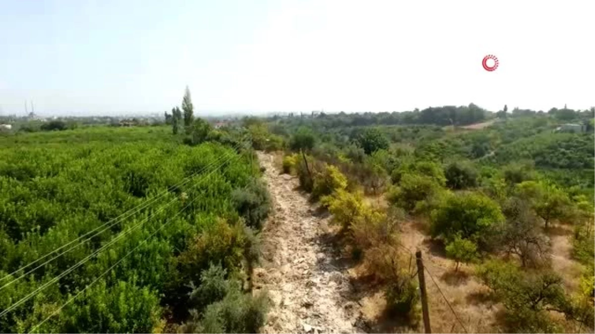 50 yıllık asfalt yol kazıldı, "özel mülkiyettir" yazısıyla kapatıldı