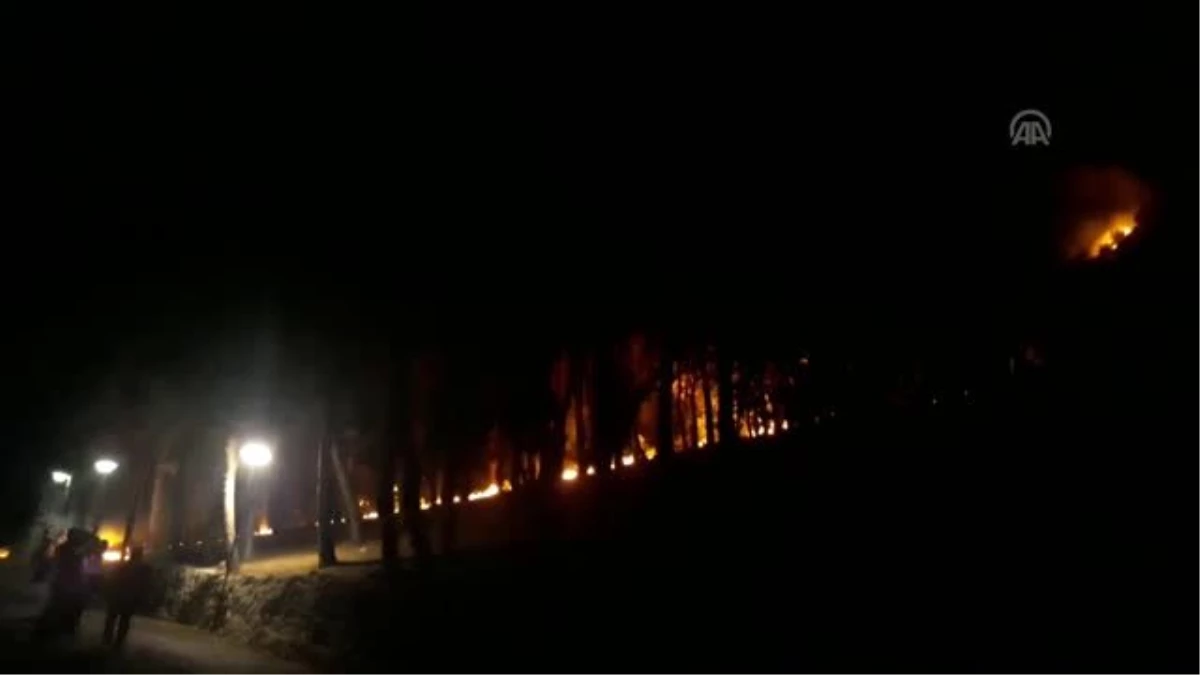 Adana\'daki orman yangını
