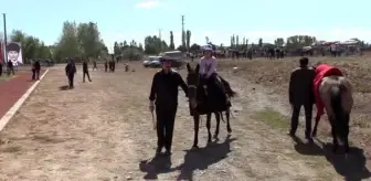 Amasya'da rahvan at yarışları yapıldı