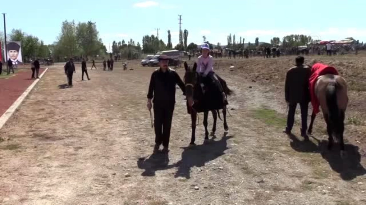 Amasya\'da rahvan at yarışları yapıldı