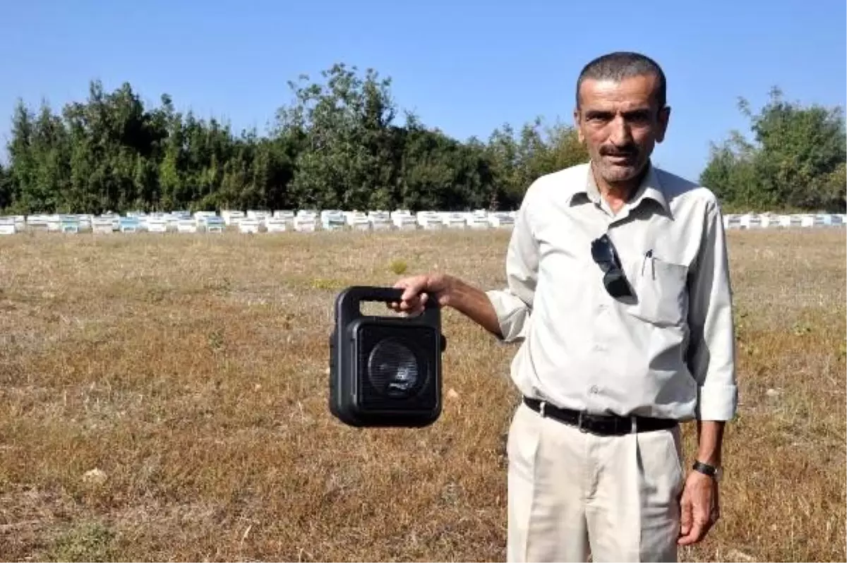 Arı kuşu ile mücadelede ekolojik dengeyi bozmayacak yöntem