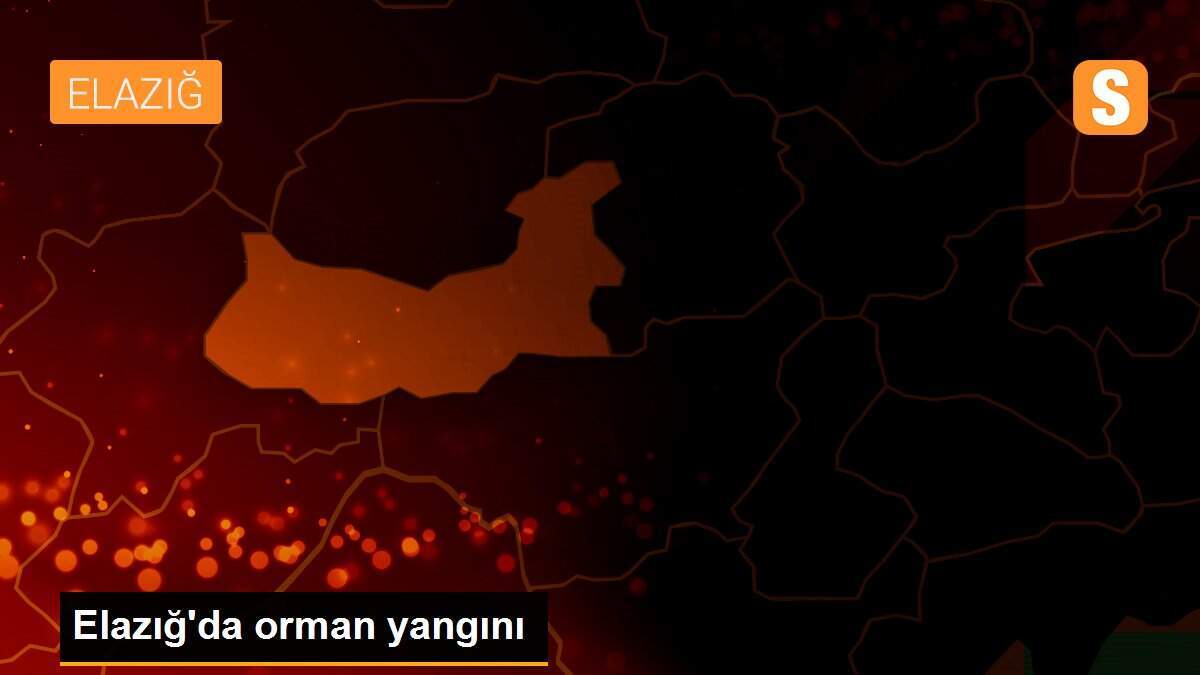 Elazığ\'da orman yangını
