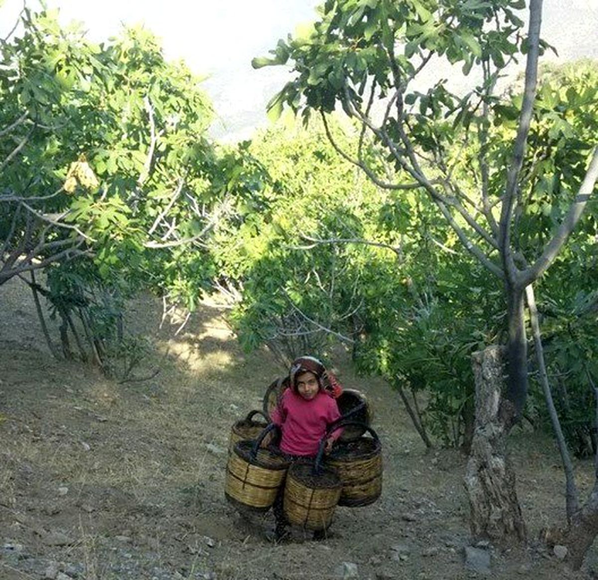 Elif\'in maşallahı var
