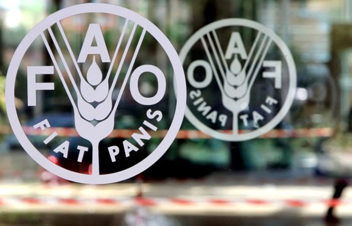 FAO\'dan Türkiye\'deki tarım uygulamalarına övgü
