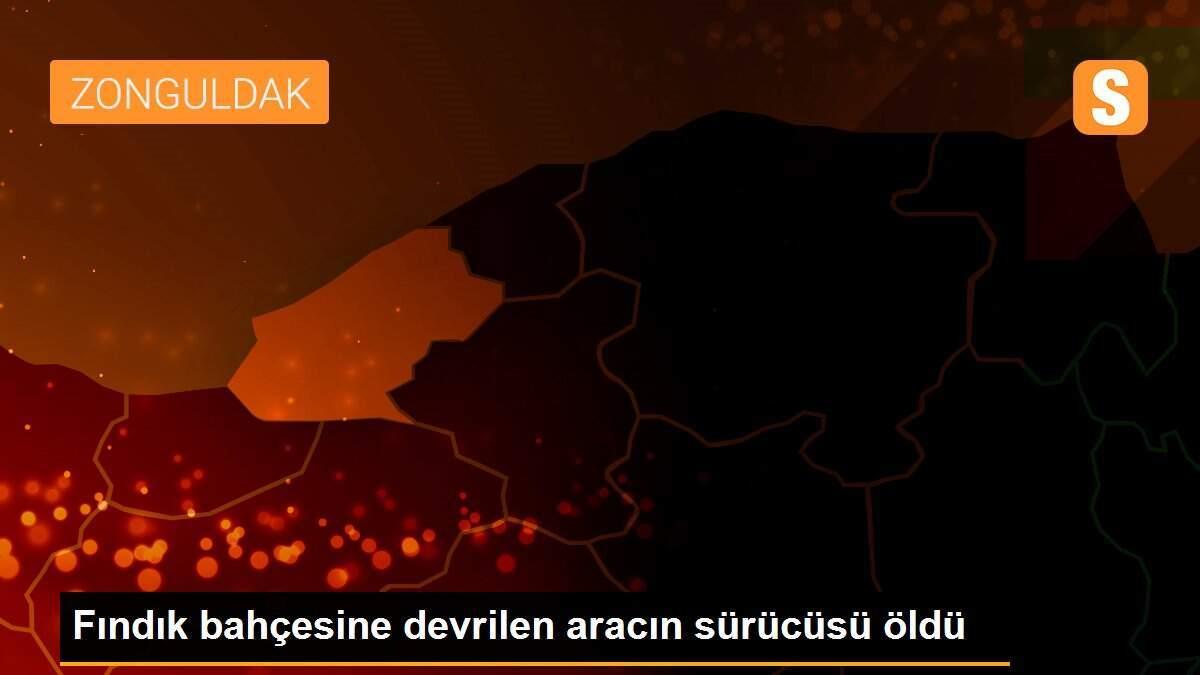 Fındık bahçesine devrilen aracın sürücüsü öldü