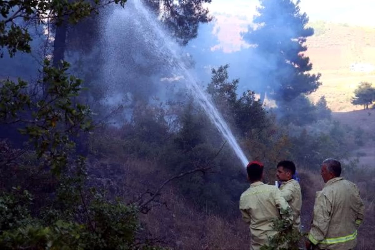 Osmaniye\'de orman yangını