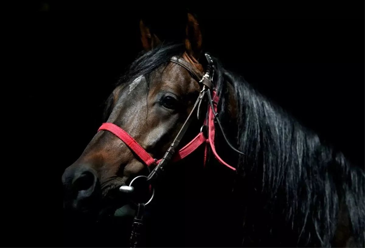 (Özel) Efsane babaların efsane oğulları