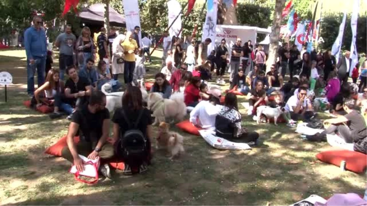 Türkiye\'nin ilk Evcil Hayvan ve Yaşam Festivali "Petival\' renkli anlara sahne oldu