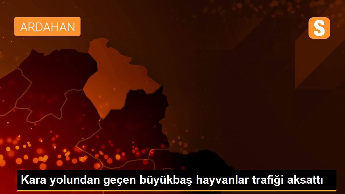 Kara yolundan geçen büyükbaş hayvanlar trafiği aksattı