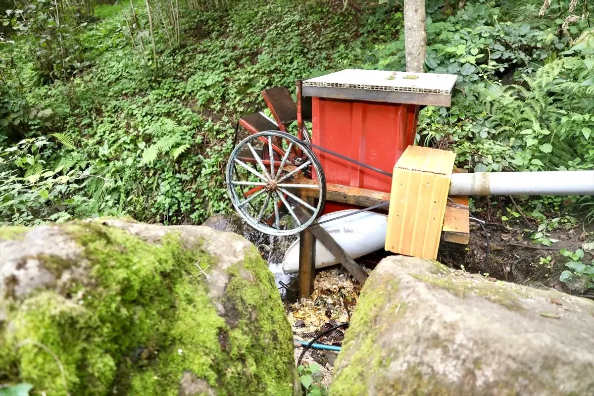 Ordu\'nun derelerinden elektrik üretilecek