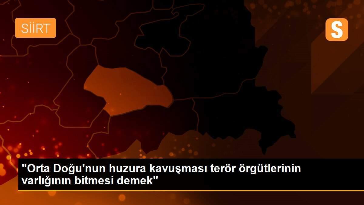 "Orta Doğu\'nun huzura kavuşması terör örgütlerinin varlığının bitmesi demek"