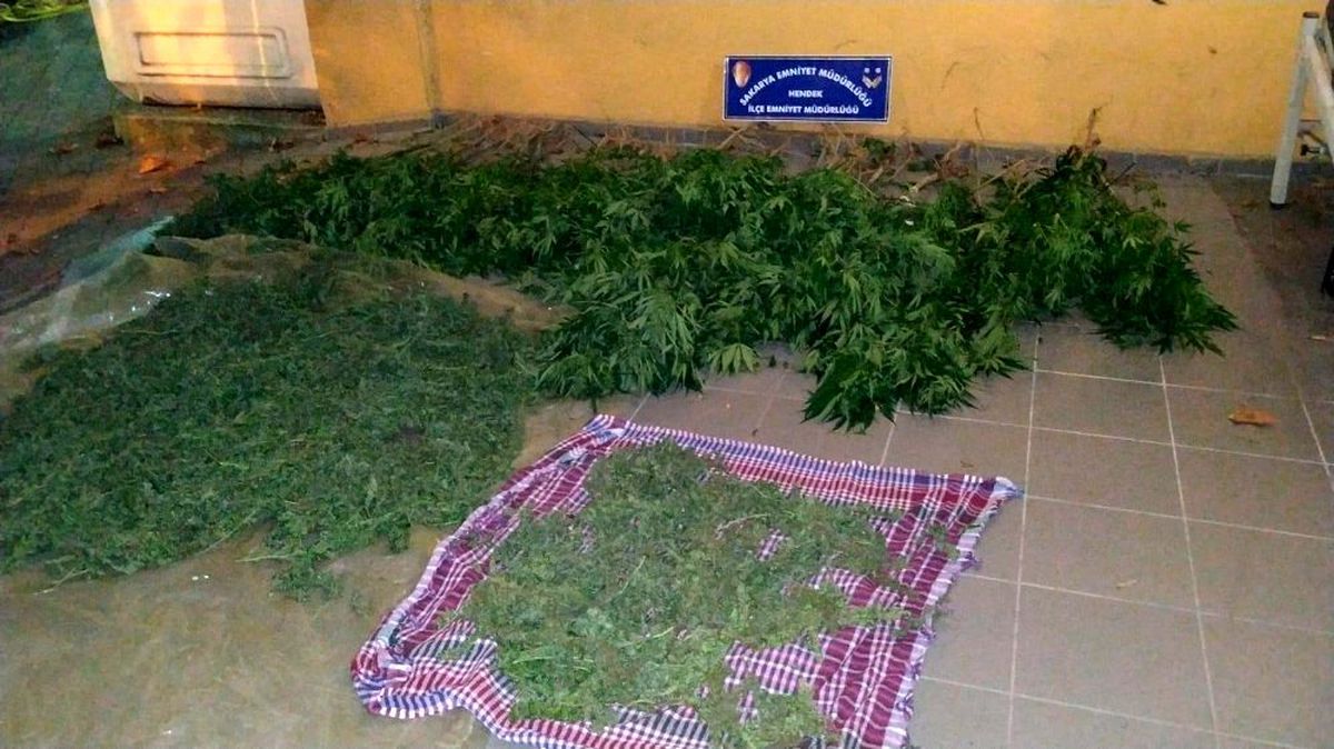 Sakarya\'da uyuşturucu operasyonu: 4 gözaltı