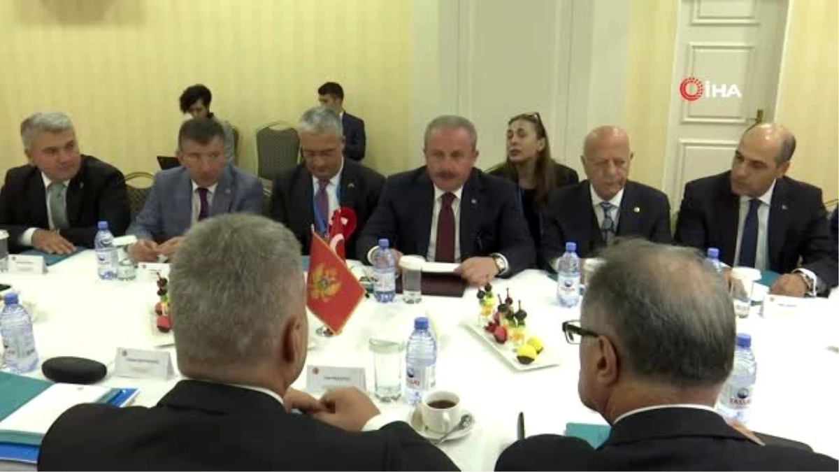 TBMM Başkanı Şentop, Karadağ Meclis Başkanı Brajovic ile görüştü
