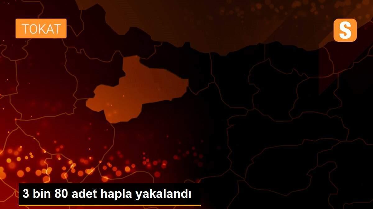 3 bin 80 adet hapla yakalandı