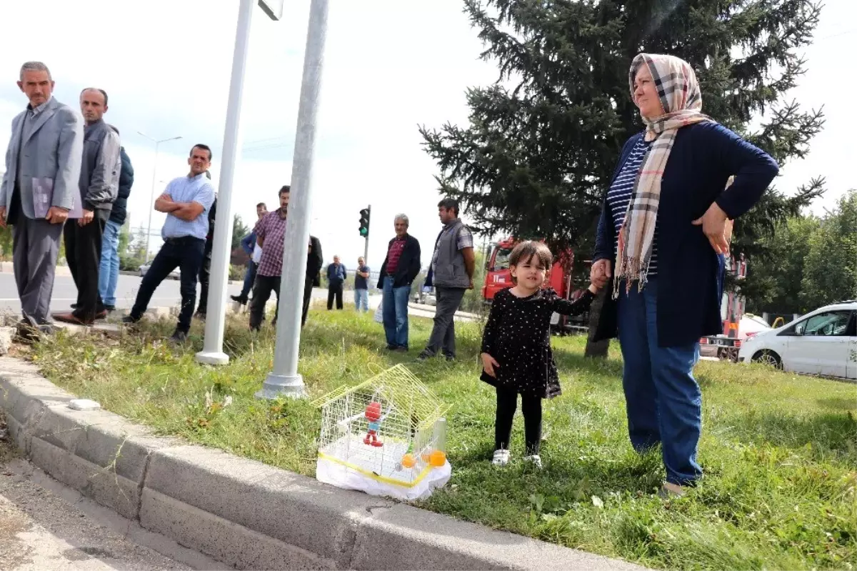 Bolu\'da, trafik kazası: 1 yaralı