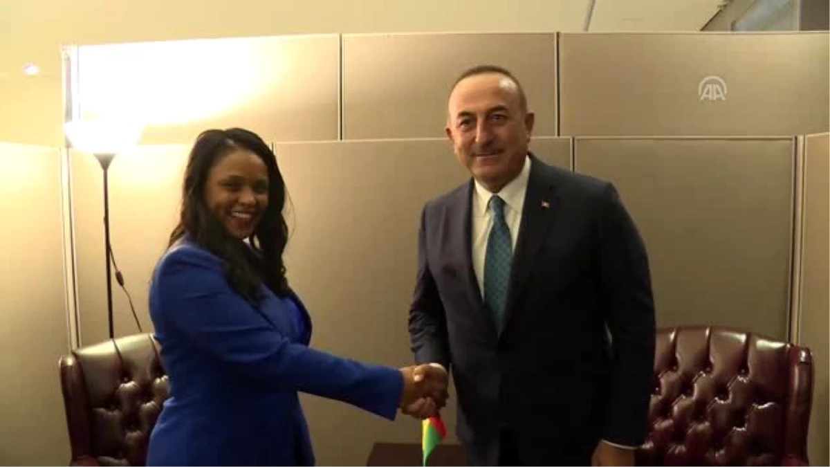 Dışişleri Bakanı Çavuşoğlu, Gine Bissaulu mevkidaşıyla görüştü - NEW