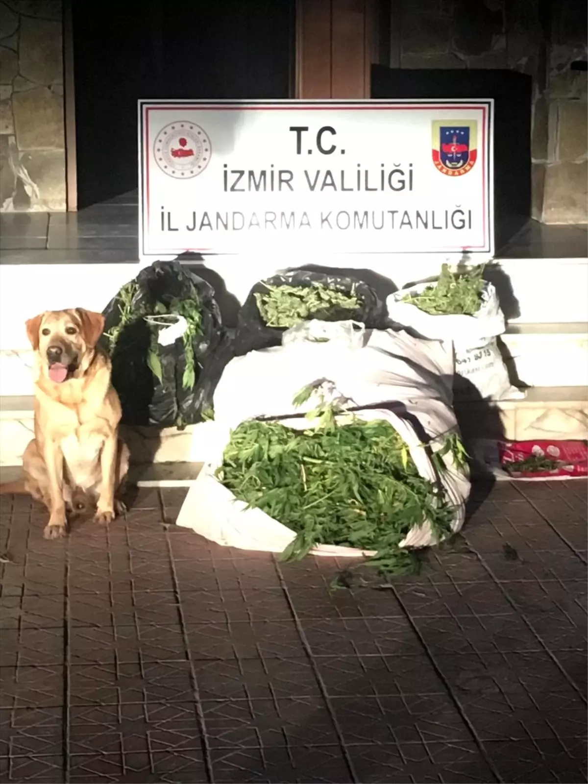 İzmir\'de uyuşturucu operasyonu