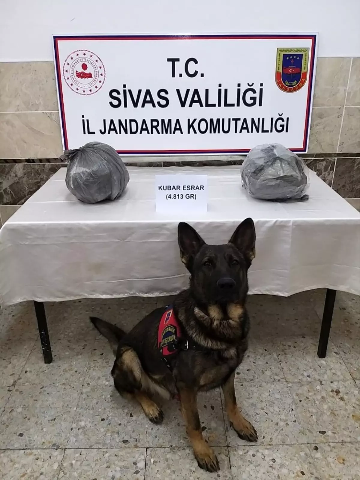 Jandarma kaçakçılara geçit vermedi